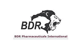Partner Logo 38